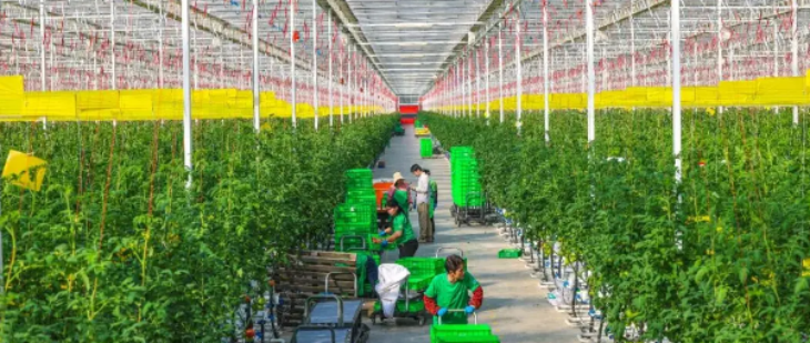 4001百老汇·(中国)有限公司官网