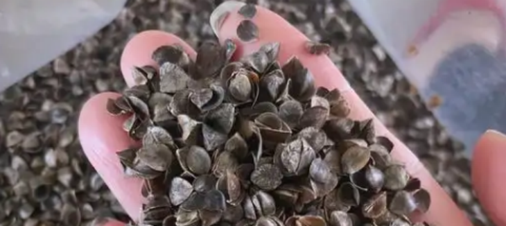 4001百老汇·(中国)有限公司官网